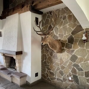 Homa Polygonalschiefer - Naturstein für Innen- und Außenfassaden, Pflasterungen und Gehwege (1 qm = 10-14 Stück)
