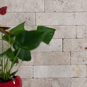 Klassischer Travertin mit Kreuzschliff, getrommelt 20.3 x 5 x 3 cm