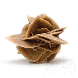 Wüstenrose (Selenitkristalle) Dekostein KG