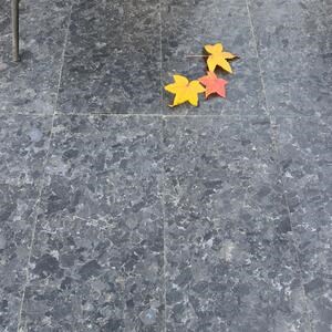 Extra blauer Labradorit mit Lederfinish, 60 x 30 x 2 cm