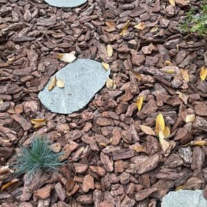 Kavala Schiefer gemeißelt Rand japanischen Garten Schritt