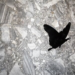 Grigio Superiore Kreuzschliff Polierte Marmorplatte 2 cm