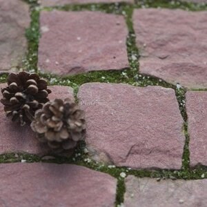 Roter Vidin Splitface Sandstein Kopfsteinpflaster