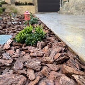 Latte Brushed & Bullnosed PREMIUM Travertin 61 x 30,5 x 3 cm - Treppe / Schwimmbadabdeckung