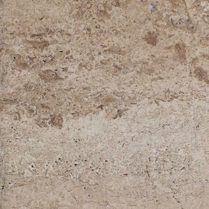 Latte Brushed & Bullnosed PREMIUM Travertin 61 x 30,5 x 3 cm - Treppe / Schwimmbadabdeckung