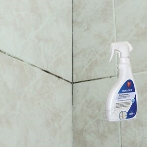 LTP Profesional Mouldex, Reinigungsmittel für Schimmelsporen (reinigt & pflegt), 500 ml
