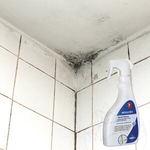 LTP Profesional Mouldex, Reinigungsmittel für Schimmelsporen (reinigt & pflegt), 500 ml