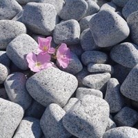 Bianco Sardo Granitkiesel 4-8 cm KG