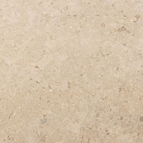 Kalkstein Astoria Poliert 61 x 30.5 x 1.2 cm