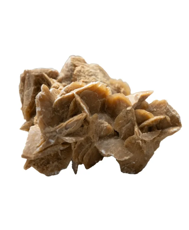 Wüstenrose (Selenitkristalle) Dekostein KG