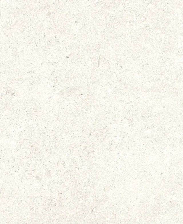 LAP-0061