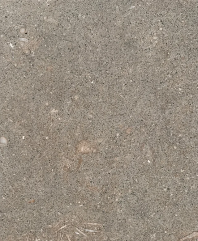 Kalksteinfliesen Oliva Matt 61 x 30.5 x 1.2 cm